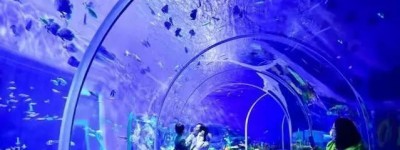 石家庄市动物园极地海洋世界元旦正式开放
